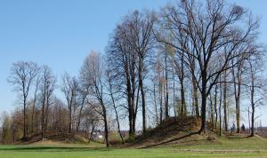 Gomile v Botaničnem vrtu Univerze v Mariboru